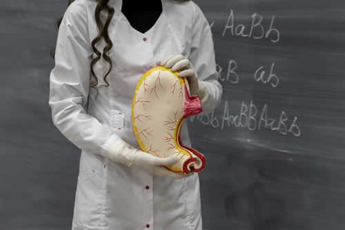 A practical training gives you a deeper understanding