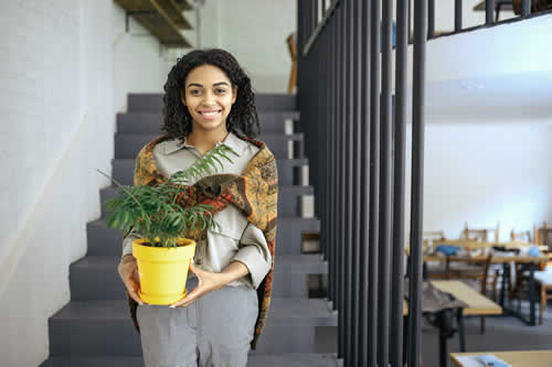 Plants are a simple yet guaranteed way to lift the mood