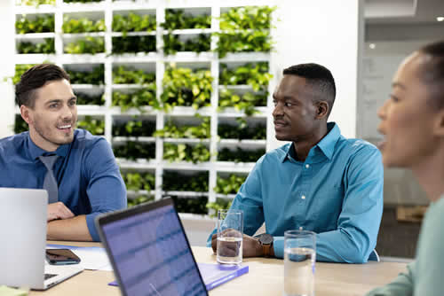 Meeting with IT consultants