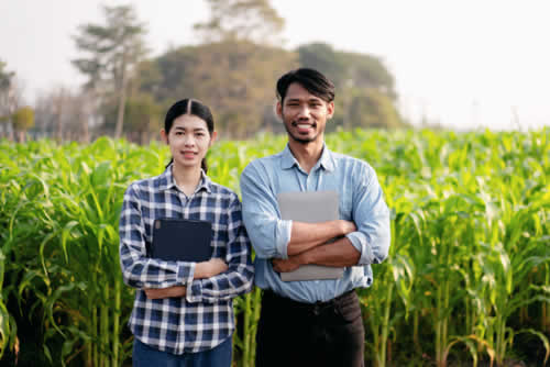 Marketing to agribusiness needs a focused approach